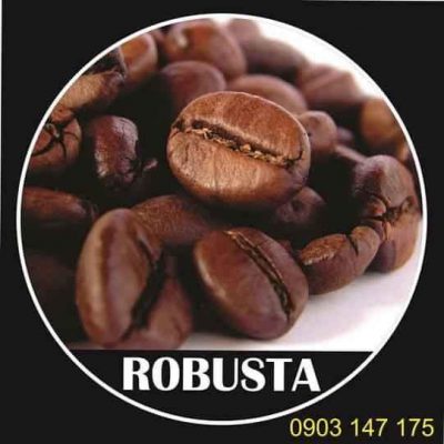 Tìm hiểu về Cà phê Robusta – Arabica – Culi