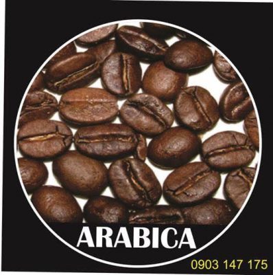 Sự khác biệt giữa hạt cà phê Arabica và Robusta