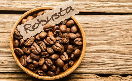 Cà phê Ghana: Vùng Robusta (Phần 2)