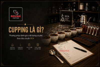 Cupping Là Gì? Quy Trình Đánh Giá Chất Lượng Cà Phê Theo Tiêu Chuẩn SCA