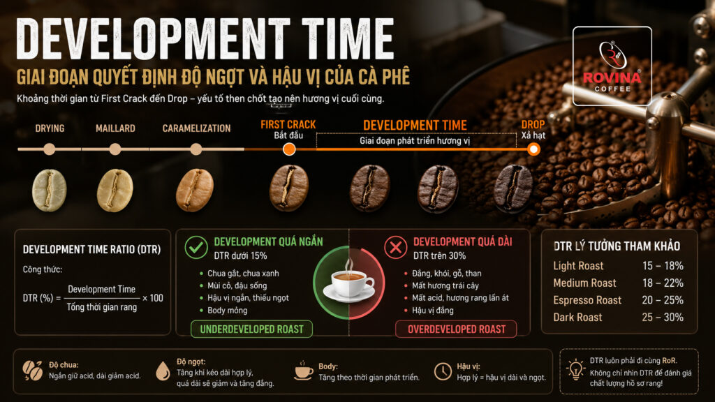 Development Time Trong Rang Cà Phê Là Gì? Ảnh Hưởng Đến Hương Vị Như Thế Nào?