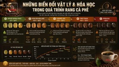 Những biến đổi trong quá trình rang cà phê: Vật Lý – Hóa Học