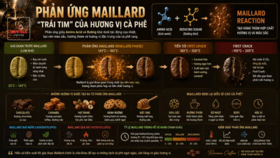Phản ứng Maillard là gì? tại sao nó quyết định hương vị cà phê?