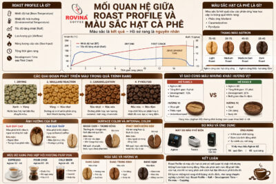 Mối Quan Hệ Giữa Roast Profile Và Màu Sắc Hạt Cà Phê Khi Rang