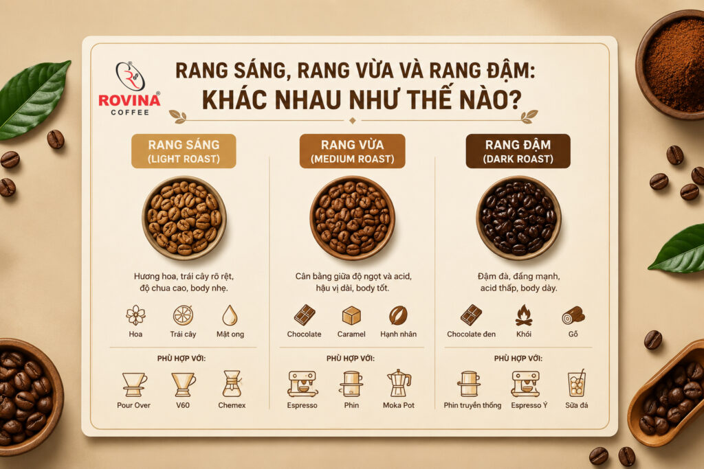 Cà Phê Rang Vừa Là Gì? So Sánh Với Cà Phê Rang Sáng Và Cà Phê Rang Đậm