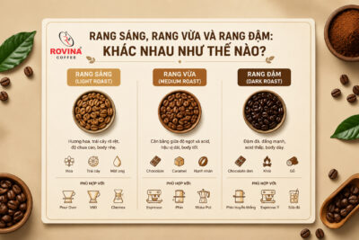 Cà Phê Rang Vừa Là Gì? So Sánh Với Cà Phê Rang Sáng Và Cà Phê Rang Đậm