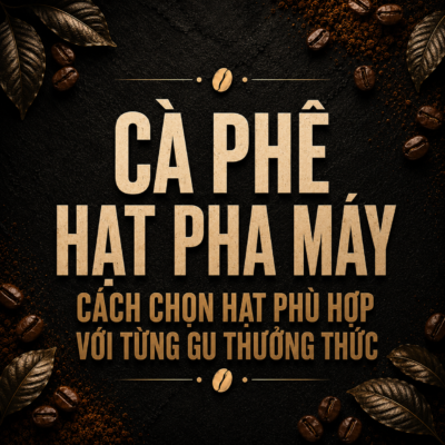 Cà phê hạt pha máy – Cách chọn hạt phù hợp với từng gu thưởng thức